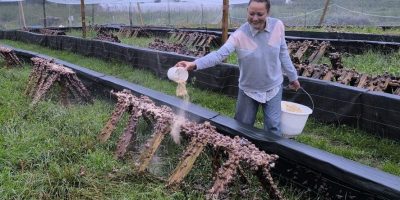 Sortie culturelles visite élevage escargots